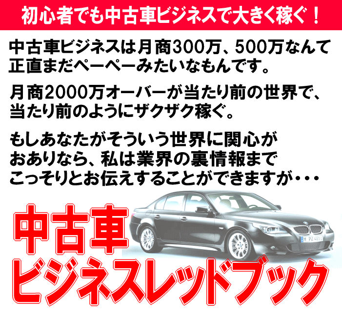 目指せ月商00万円 中古車ビジネスレッドブック11年版 中古車販売方法 効果 情報 口コミ